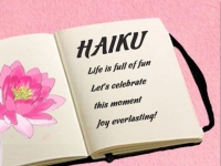 A Collection Of Haiku